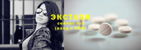 дживик Надым