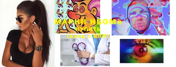 дживик Надым